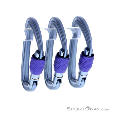 Black Diamond LiteForge Screwgate 3er Karabiner-Set-Grau-One Size