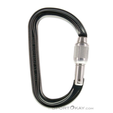 Petzl Am'D Screw-Lock Karabiner-Grau-One Size