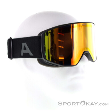 Alpina Venet Q Skibrille-Schwarz-One Size
