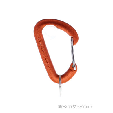 Black Diamond Micron Accesory Materialkarabiner-Mehrfarbig-S