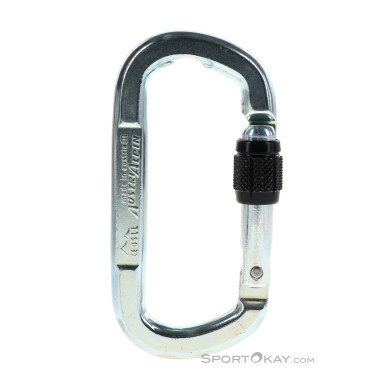 Austrialpin Asymm Oval Schraubkarabiner-Silber-One Size