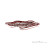 Black Diamond Dynex Daisy Chain Bigwall-Schlinge-Rot-140