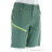 Martini Highventure Dynamic Herren Outdoorshort-Grün-50