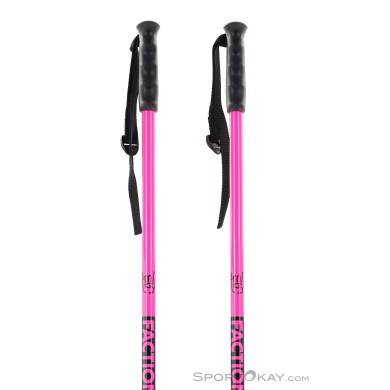 Faction Prodigy Series Ski Poles