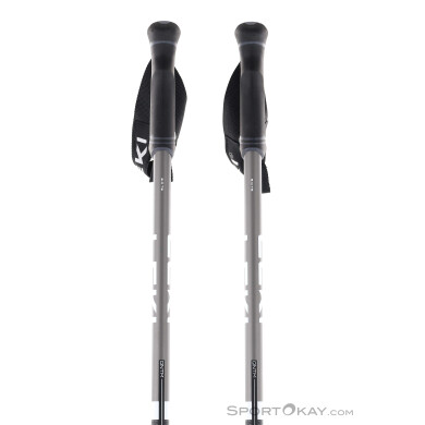 Leki QNTM Ski Poles