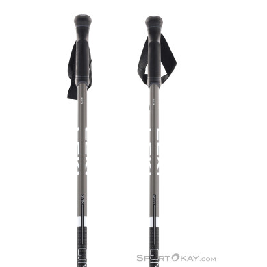 Leki QNTM Ski Poles