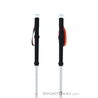 Black Diamond Expedition 2 Ski Poles