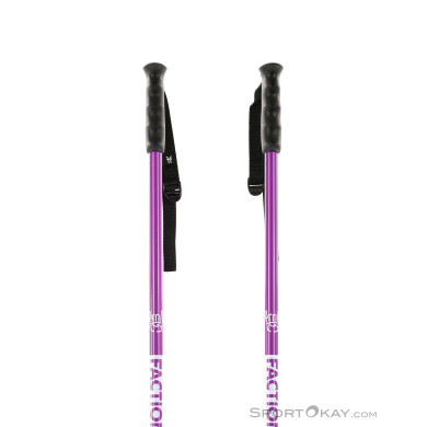 Faction Prodigy Series Ski Poles