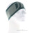 Dynafit Light Logo Headband