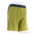 Dynafit Alpine Pro 2in1 Mens Running Shorts