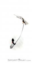 Petzl Sumtec Eispickel mit Hammer, Petzl, Grau, , , 0074-10244, 5637487427, 3342540818958, N4-04.jpg