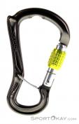 DMM Ceros Screwgate Lock Karabiner, DMM, Grau, , , 0096-10037, 5637583375, 5031290214803, N1-01.jpg