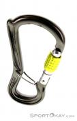 DMM Ceros Screwgate Lock Karabiner, DMM, Grau, , , 0096-10037, 5637583375, 5031290214803, N2-02.jpg