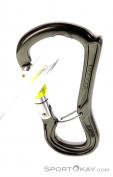 DMM Ceros Screwgate Lock Karabiner, DMM, Grau, , , 0096-10037, 5637583375, 5031290214803, N2-12.jpg