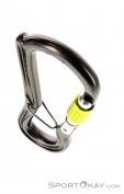 DMM Ceros Screwgate Lock Karabiner, DMM, Grau, , , 0096-10037, 5637583375, 5031290214803, N3-03.jpg