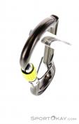DMM Ceros Screwgate Lock Karabiner, DMM, Grau, , , 0096-10037, 5637583375, 5031290214803, N3-08.jpg