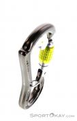 DMM Ceros Screwgate Lock Karabiner, DMM, Grau, , , 0096-10037, 5637583375, 5031290214803, N3-18.jpg