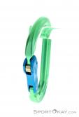 Austrialpin Rondo Slide Autlock HMS-Karabiner, Austrialpin, Grün, , , 0087-10140, 5637826327, 9006381013029, N2-07.jpg