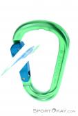 Austrialpin Rondo Slide Autlock HMS-Karabiner, Austrialpin, Grün, , , 0087-10140, 5637826327, 9006381013029, N2-12.jpg