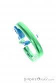 Austrialpin Rondo Slide Autlock HMS-Karabiner, Austrialpin, Grün, , , 0087-10140, 5637826327, 9006381013029, N4-14.jpg
