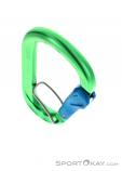 Austrialpin Rondo Slide Autlock Selfie HMS Locking Carabiner, Austrialpin, Green, , , 0087-10143, 5637826350, 9006381013012, N3-03.jpg