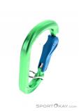 Austrialpin Rondo Slide Autlock Selfie HMS Locking Carabiner, Austrialpin, Green, , , 0087-10143, 5637826350, 9006381013012, N3-18.jpg