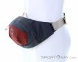 Osprey Daylite Waist 2l Hip Bag, Osprey, Multicolored, , Male,Female,Unisex, 0149-10385, 5637988518, 843820135435, N1-06.jpg