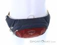Osprey Daylite Waist 2l Hip Bag, Osprey, Multicolored, , Male,Female,Unisex, 0149-10385, 5637988518, 843820135435, N2-02.jpg