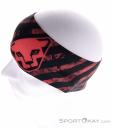 Dynafit Graphic Performance Stirnband, Dynafit, Pink-Rosa, , Herren,Damen,Unisex, 0015-11841, 5638279487, 4053866751032, N3-08.jpg