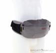 ION Hipbag Traze 1l Hüfttasche, ION, Hell-Grau, , Herren,Damen,Unisex, 0408-10008, 5638282138, 9010583113005, N1-01.jpg