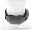 ION Hipbag Traze 1l Hüfttasche, ION, Hell-Grau, , Herren,Damen,Unisex, 0408-10008, 5638282138, 9010583113005, N3-03.jpg