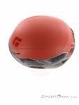 Black Diamond Vision Climbing Helmet, Black Diamond, Orange, , Male,Female,Unisex, 0056-11429, 5638300059, 793661604884, N4-09.jpg