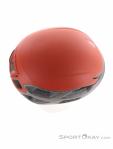 Black Diamond Vision Climbing Helmet, Black Diamond, Orange, , Male,Female,Unisex, 0056-11429, 5638300059, 793661604884, N4-19.jpg