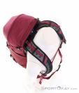 Osprey Hikelite 26l Backpack, Osprey, Dark-Red, , Male,Female,Unisex, 0149-10505, 5638301116, 843820195965, N4-09.jpg