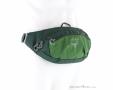 Osprey Daylite Waist 2l Hip Bag, Osprey, Olive-Dark Green, , Male,Female,Unisex, 0149-10385, 5638301324, 843820184372, N1-01.jpg