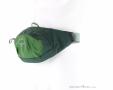 Osprey Daylite Waist 2l Hip Bag, Osprey, Olive-Dark Green, , Male,Female,Unisex, 0149-10385, 5638301324, 843820184372, N1-06.jpg