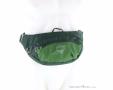Osprey Daylite Waist 2l Hip Bag, Osprey, Olive-Dark Green, , Male,Female,Unisex, 0149-10385, 5638301324, 843820184372, N2-02.jpg