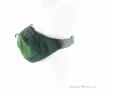Osprey Daylite Waist 2l Hip Bag, Osprey, Olive-Dark Green, , Male,Female,Unisex, 0149-10385, 5638301324, 843820184372, N2-07.jpg