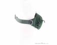 Osprey Daylite Waist 2l Hip Bag, Osprey, Olive-Dark Green, , Male,Female,Unisex, 0149-10385, 5638301324, 843820184372, N2-17.jpg