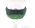 Osprey Daylite Waist 2l Hip Bag, Osprey, Olive-Dark Green, , Male,Female,Unisex, 0149-10385, 5638301324, 843820184372, N3-03.jpg