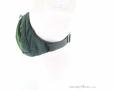 Osprey Daylite Waist 2l Hip Bag, Osprey, Olive-Dark Green, , Male,Female,Unisex, 0149-10385, 5638301324, 843820184372, N3-08.jpg