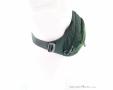 Osprey Daylite Waist 2l Hip Bag, Osprey, Olive-Dark Green, , Male,Female,Unisex, 0149-10385, 5638301324, 843820184372, N3-18.jpg