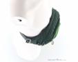 Osprey Daylite Waist 2l Hip Bag, Osprey, Olive-Dark Green, , Male,Female,Unisex, 0149-10385, 5638301324, 843820184372, N4-19.jpg