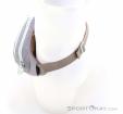 Osprey Daylite Waist 2l Hip Bag, Osprey, Light-Gray, , Male,Female,Unisex, 0149-10385, 5638321587, 843820193084, N3-08.jpg