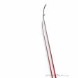 VAN DEER-Red Bull Sports GS World Cup + Comp 16 Skiset 2026, VAN DEER-Red Bull Sports, Grau, , Herren,Unisex, 0510-10004, 5638387440, 9120124674800, N1-16.jpg