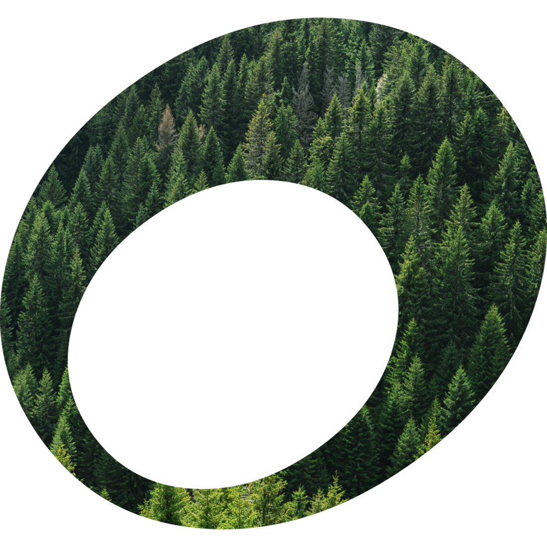 SportOkay Green &ndash; Nachhaltigkeit und Verantwortung
